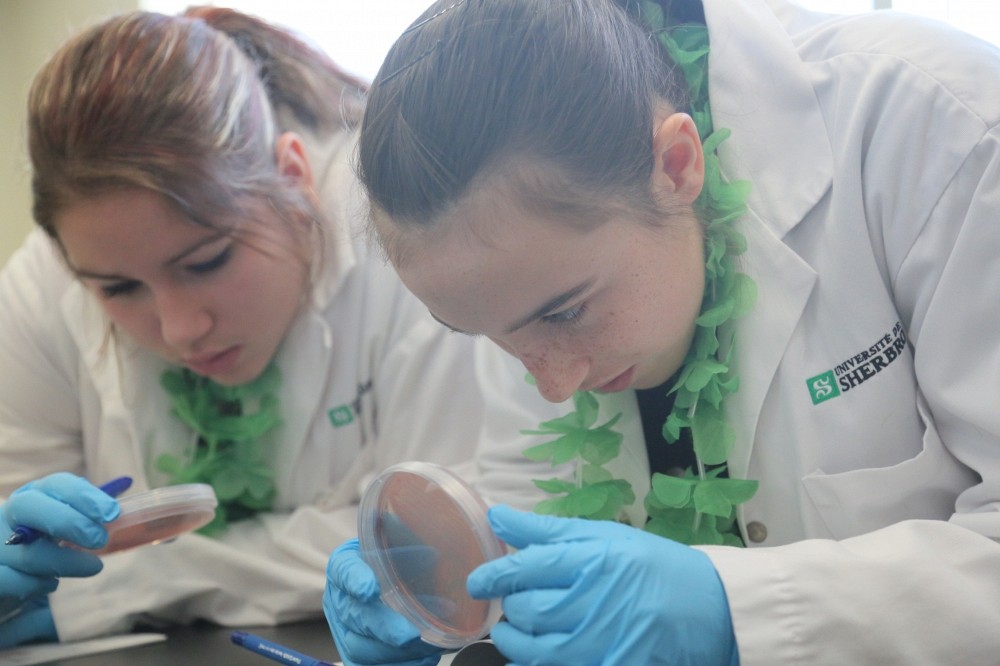 Les ateliers interactifs ont initi&eacute; les jeunes filles de 2e et 3e secondaire &agrave; de nombreux domaines, dont la biochimie de la sant&eacute;.