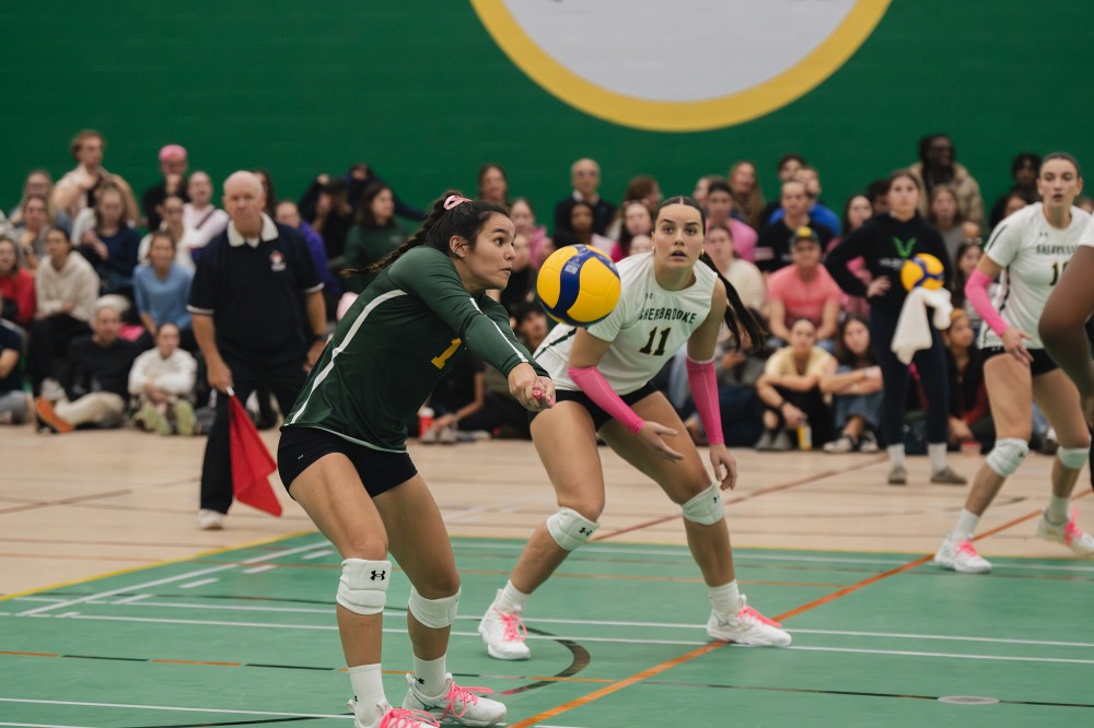 Le Vert & Or en volleyball f&eacute;minin est toujours invaincu &agrave; la suite de ses 11 premiers matchs de la saison 2024-2025.