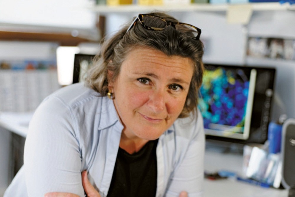 Nathalie Vergnolle, nouvelle directrice scientifique de l&rsquo;Institut de pharmacologie de Sherbrooke