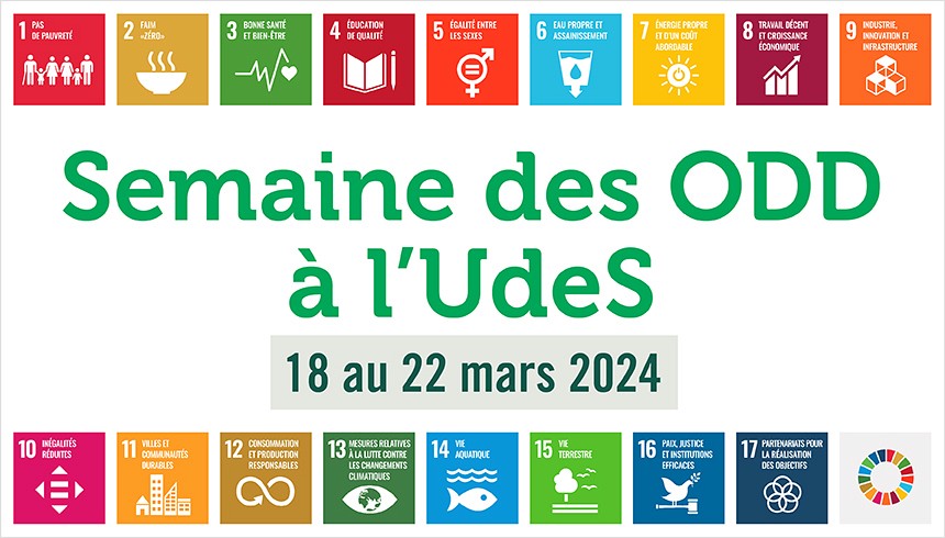 Interreli&eacute;s,&nbsp;les&nbsp;17 ODD&nbsp;adopt&eacute;s par les &Eacute;tats membres de l&rsquo;ONU visent &agrave; garantir un meilleur avenir, d&rsquo;ici 2030, pour l&rsquo;ensemble des collectivit&eacute;