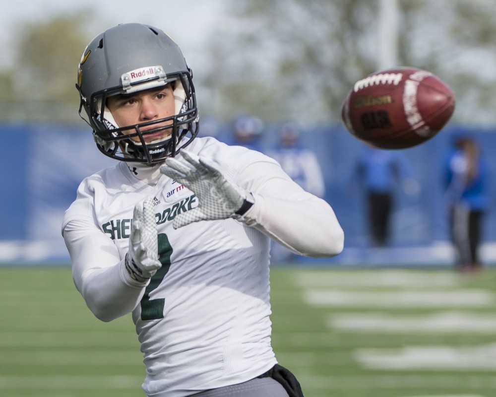 Vincent Cl&eacute;roux-Gaudreau. Baccalaur&eacute;at en kin&eacute;siologie.