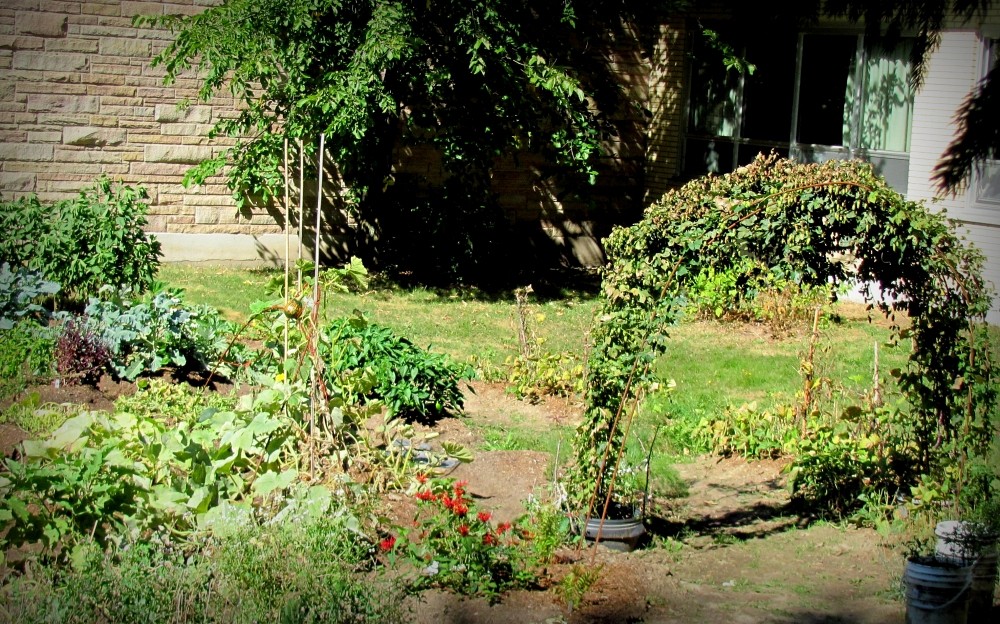 Le Jardin Collectif de l'UdeS