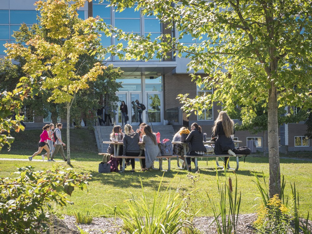 Plus de 3600 membres du personnel et de la communaut&eacute; &eacute;tudiante ont pris part &agrave; l'enqu&ecirc;te de sant&eacute; organisationnelle men&eacute;e cet automne &agrave; l'UdeS.