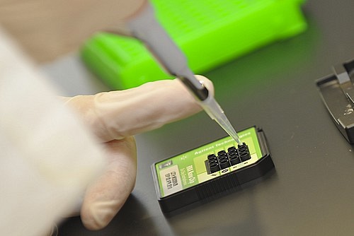 Neuf Chaires de recherche du Canada pr&eacute;sentes dans quatre facult&eacute;s voient leur financement confirm&eacute; pour au moins cinq ans.