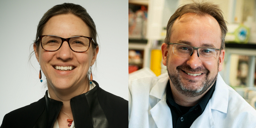 Les titulaires d'une subvention : Marie-Jos&eacute;e Boucher, professeure-chercheuse &agrave; l'IRCUS au D&eacute;partement de m&eacute;decine de la Facult&eacute; de m&eacute;decine et des sciences de la sant&eacute; (FMSS), et Fran&ccedil;ois-Michel Boisvert, directeur scientifique de l'IRCUS, professeur-chercheur &agrave; l'IRCUS au D&eacute;partement d'immunologie et de biologie de la FMSS