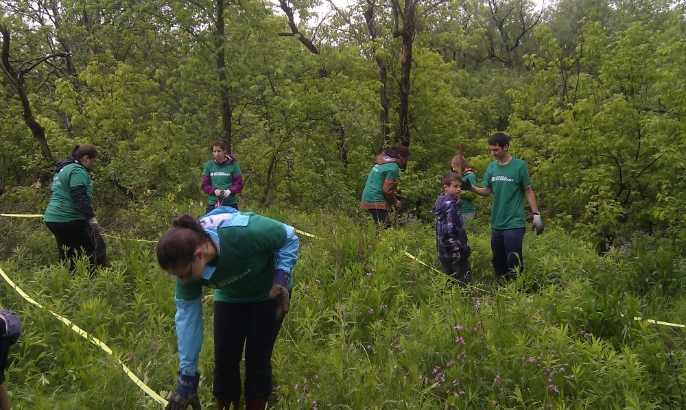 Des &eacute;tudiants s'appr&eacute;tant &agrave; planter des arbres.