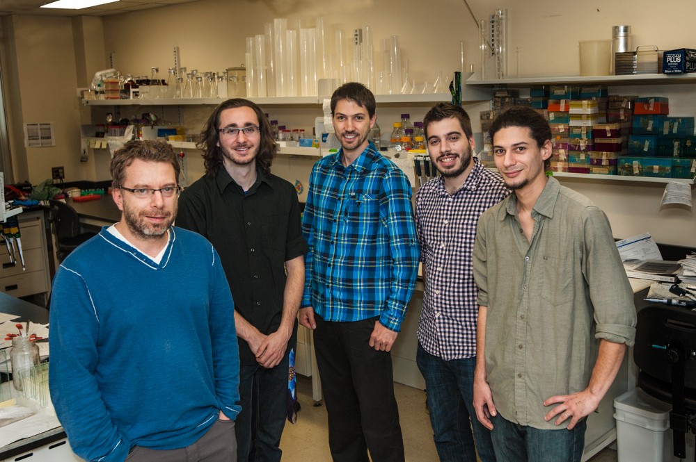 Pr Daniel Lafontaine, Jean-Christophe Berger-, Dancause, Fr&eacute;d&eacute;ric Picard-Jean, Pierre Turcotte et Adrien Chauvier. Absents de la photo : Laur&egrave;ne Bastet et Audrey Dub&eacute; (Laboratoire Pr Lafontaine),&nbsp;Pr Jonathan Perreault et Mohammad Reza Naghdi&nbsp;de&nbsp;l'INRS-Institut Armand-Frappier.