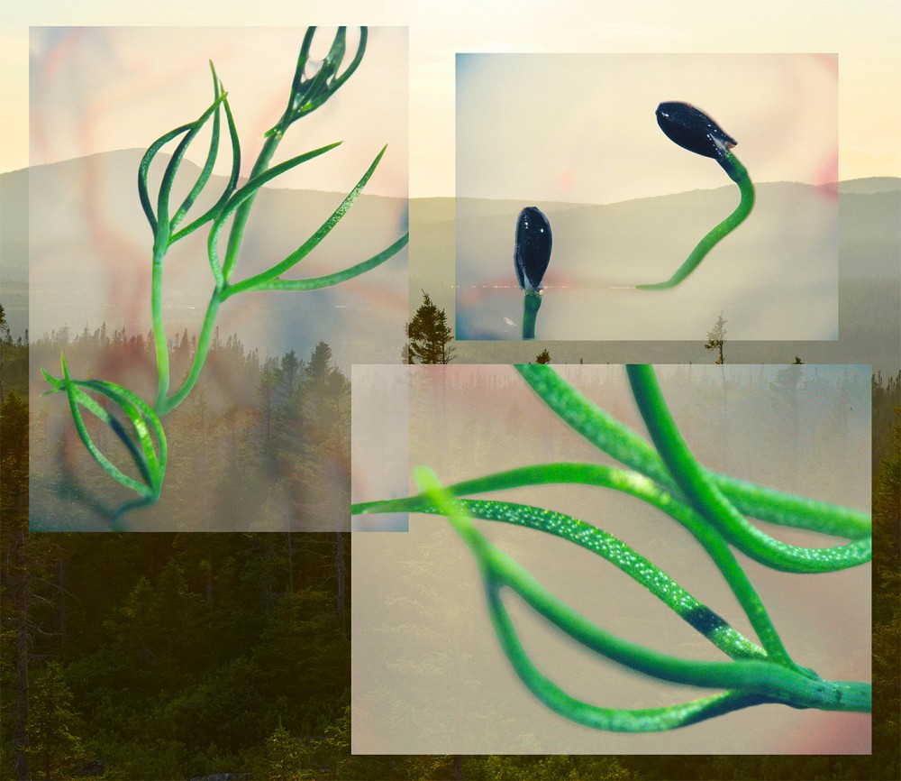 Un p&eacute;riple d&rsquo;un si&egrave;cle, l'&oelig;uvre qui d&eacute;croche la 2e place au concours interuniversitaire de photographie 2023-2024.