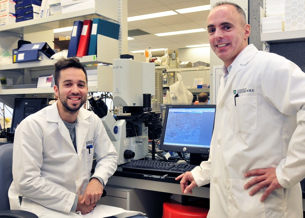 J&eacute;r&ocirc;me C&ocirc;t&eacute;, postdoctorant et premier auteur des travaux de recherche parus dans PLoS&nbsp;One, en compagnie du professeur Fernand Gobeil.