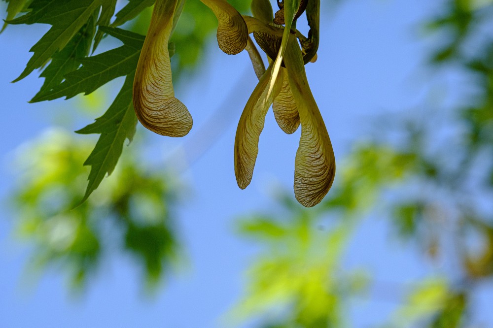 L&rsquo;UdeS a &eacute;t&eacute; choisie pour ses qualit&eacute;s p&eacute;dagogiques et son approche th&eacute;orique et pratique pour &eacute;laborer la formation autour d'une reprise &eacute;conomique plus verte et plus prosp&egrave;re.