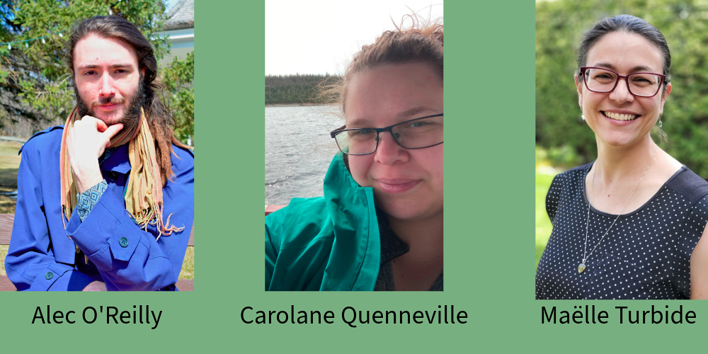 Portraits des trois nouveaux &eacute;tudiants-chercheurs du SoDRUS.