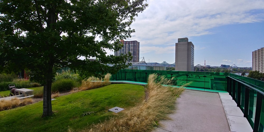 L'Oasis du Campus de Longueuil.