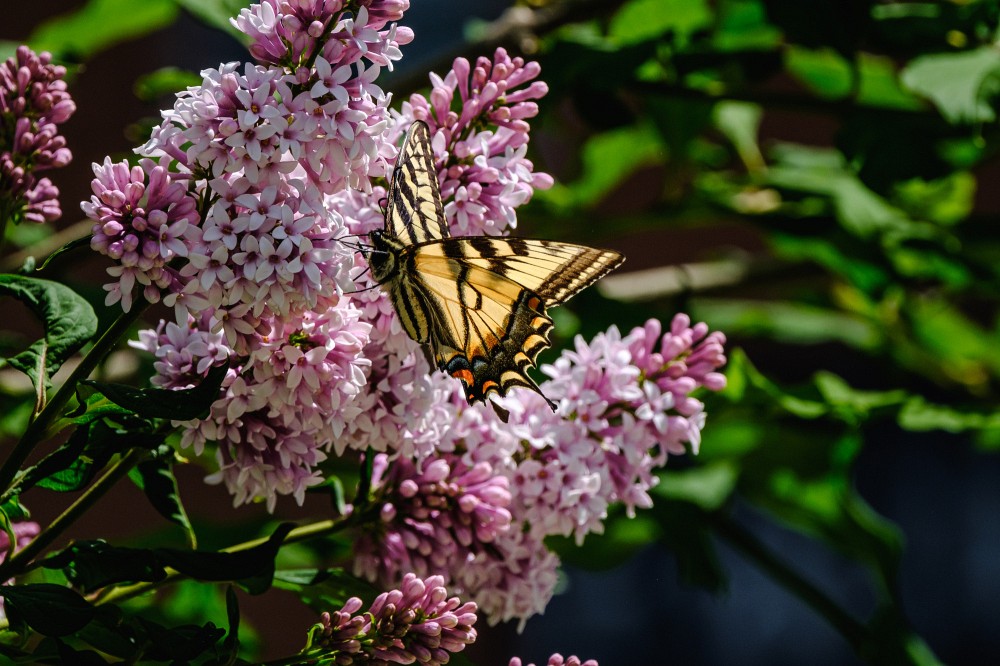 La Chaire de recherche en diplomatie scientifique climatique&nbsp;: savoirs, technologies et gouvernance vise &agrave; rapprocher&nbsp;savoirs scientifiques et d&eacute;cisions politiques en mati&egrave;re de climat &agrave; l'international.&nbsp;