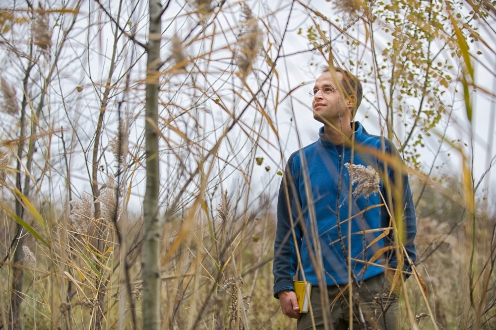 Les r&eacute;sultats de l&rsquo;&eacute;quipe de Mark Vellend marquent un progr&egrave;s important dans l'&eacute;tude de la variation de la biodiversit&eacute; v&eacute;g&eacute;tale.
