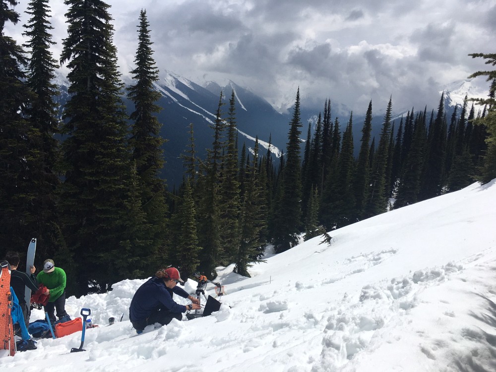 Une &eacute;quipe &eacute;tudiante lors d'une campagne de terrain neige alpine dans la vall&eacute;e de&nbsp;Roger&rsquo;s Pass&nbsp;dans le Parc national des glaciers du Canada en Colombie-Britannique.&nbsp;