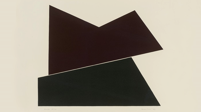 Richard-Max Tremblay,&nbsp;Ombre # 2,&nbsp;2004. Collection Universit&eacute; de Sherbrooke. Don de Marie-Agn&egrave;s Parent.