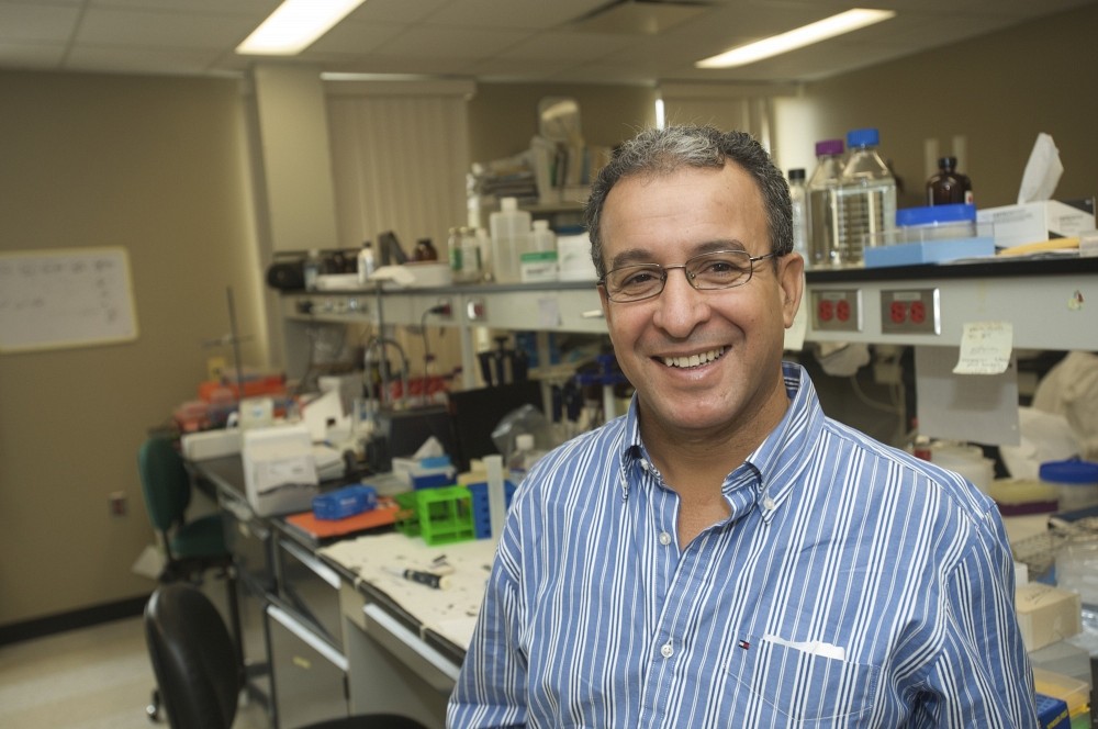 Le professeur Abdel Khalil