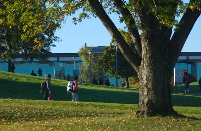 Les &eacute;tats financiers 2015-2016 permettent de r&eacute;duire le d&eacute;ficit accumul&eacute;.