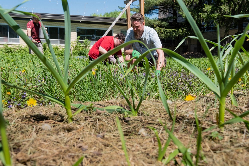 Le professeur Tristan Landry et ses &eacute;tudiants r&eacute;alisent un jardin ancestral &agrave; l'Universit&eacute; de Sherbrooke.
