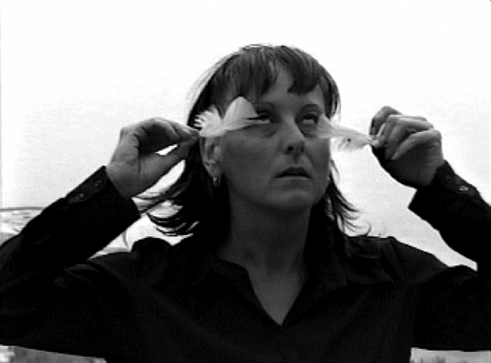 Appel(s) &agrave; l'aigle, Sylvie Tourangeau