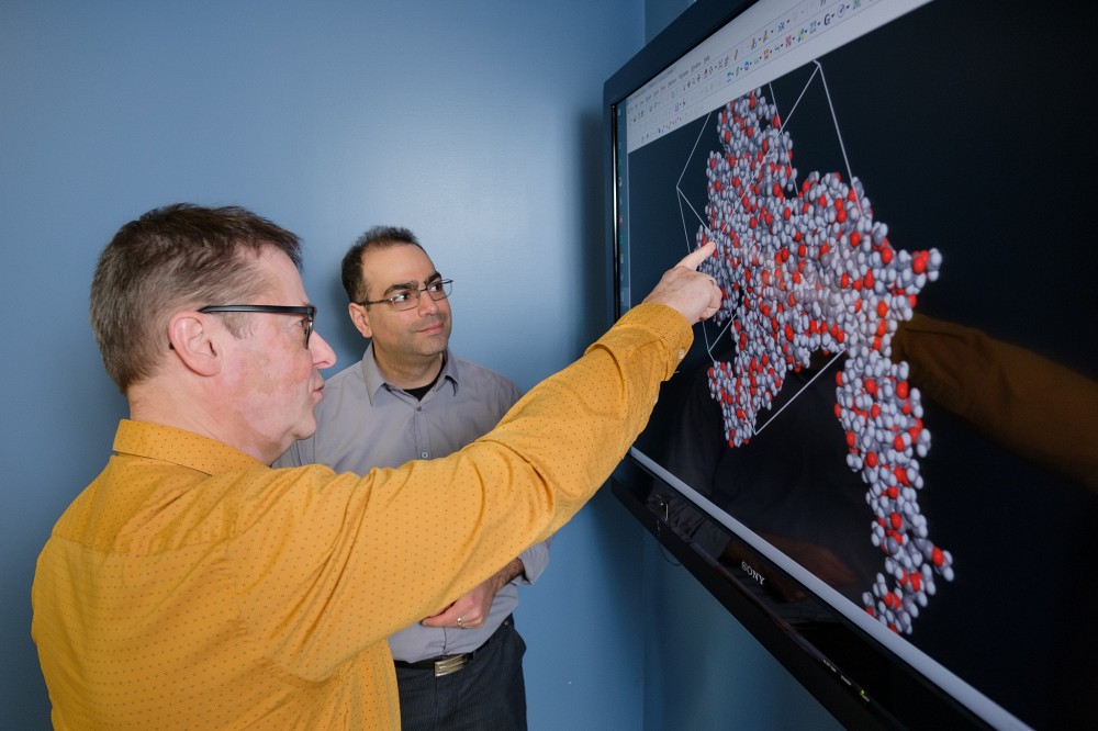 Les professeurs Armand Soldera et Nadi Braidy, deux des chercheurs du micror&eacute;seau de chercheurs li&eacute;s aux mat&eacute;riaux multifonctionnels avanc&eacute;s.