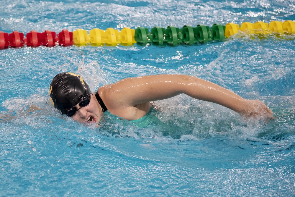 Photo : Yves Lonpr&eacute;