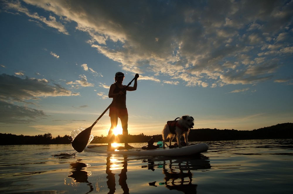 Les professionnels et professionnelles de la sant&eacute; s&rsquo;int&eacute;ressent de plus en plus aux bienfaits de la nature sur la sant&eacute; et certains vont m&ecirc;me commencer &agrave; prescrire du temps en nature.