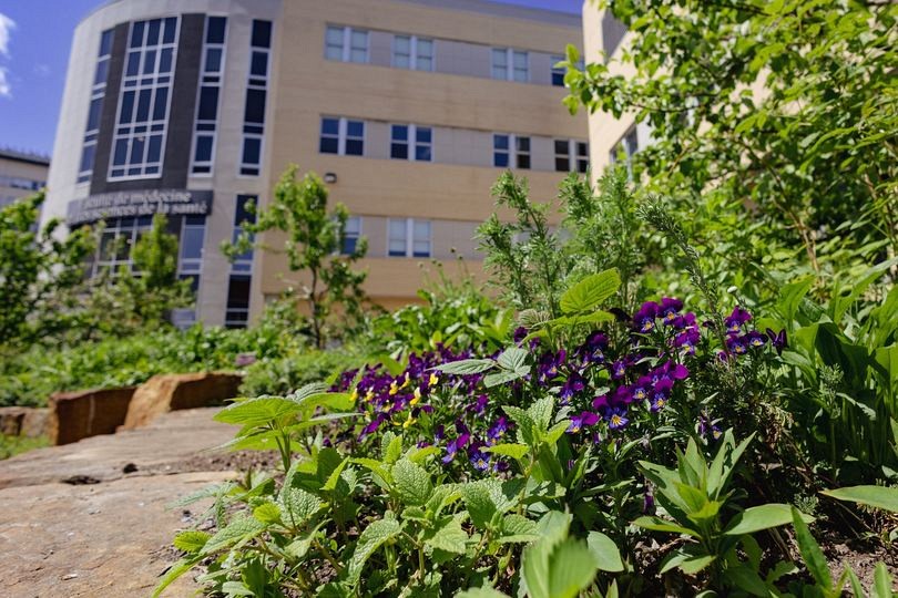 Une centaine d'organismes communautaires des r&eacute;gions de Sherbrooke, de Mont&eacute;r&eacute;gie, de Saguenay et de Moncton accueillent annuellement des &eacute;tudiantes et &eacute;tudiants de 1re&nbsp;et de 2e&nbsp;ann&eacute;e en m&eacute;decine dans le cadre des activit&eacute;s d'apprentissage par le service dans la communaut&eacute; ou de leadership de projet en m&eacute;decine.