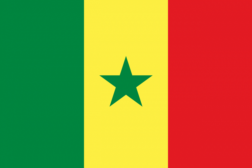Drapeau du S&eacute;n&eacute;gal.