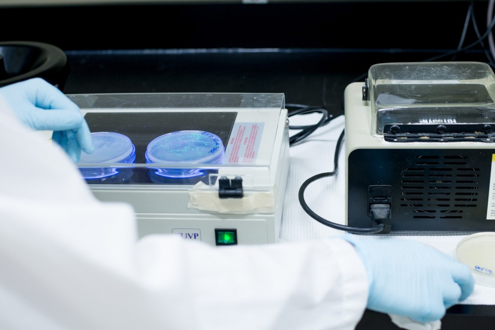 Trois chaires de recherche du Canada ont &eacute;t&eacute; renouvel&eacute;es en g&eacute;nie civil, en g&eacute;n&eacute;tique mol&eacute;culaire, ainsi qu&rsquo;en pneumologie p&eacute;diatrique.