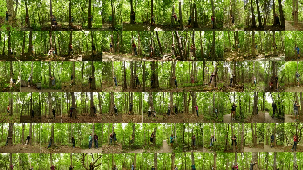 Extrait de l'oeuvre &laquo;&nbsp;Liens&nbsp;&raquo;, de Jeanne B&eacute;dard