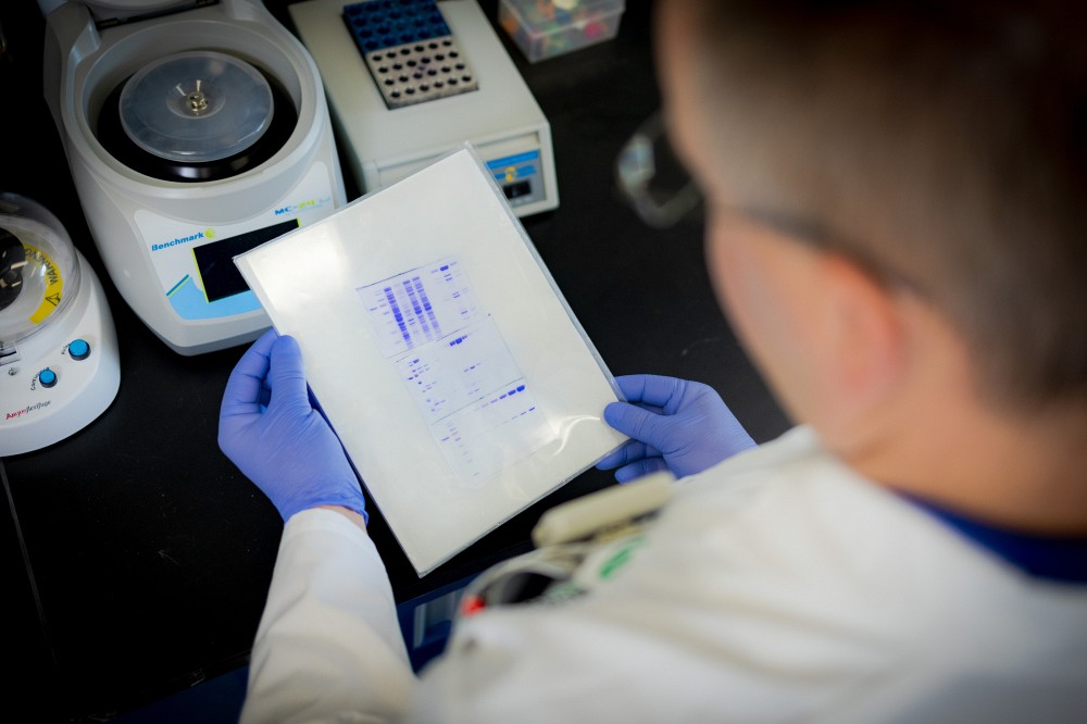 Une plateforme de recherche regroupe des expertises, des &eacute;quipements de pointe, des infrastructures de recherche et offre des services hautement sp&eacute;cialis&eacute;s. Le r&eacute;seau de plateformes de recherche de l&rsquo;UdeS est compos&eacute; de 23 plateformes &oelig;uvrant dans des domaines vari&eacute;s : sciences num&eacute;riques, sciences et g&eacute;nie et sciences de la sant&eacute;.