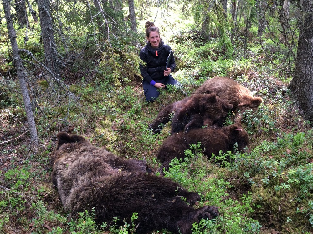 Joanie Van de Walle en &eacute;tudes sur le terrain, en Su&egrave;de.