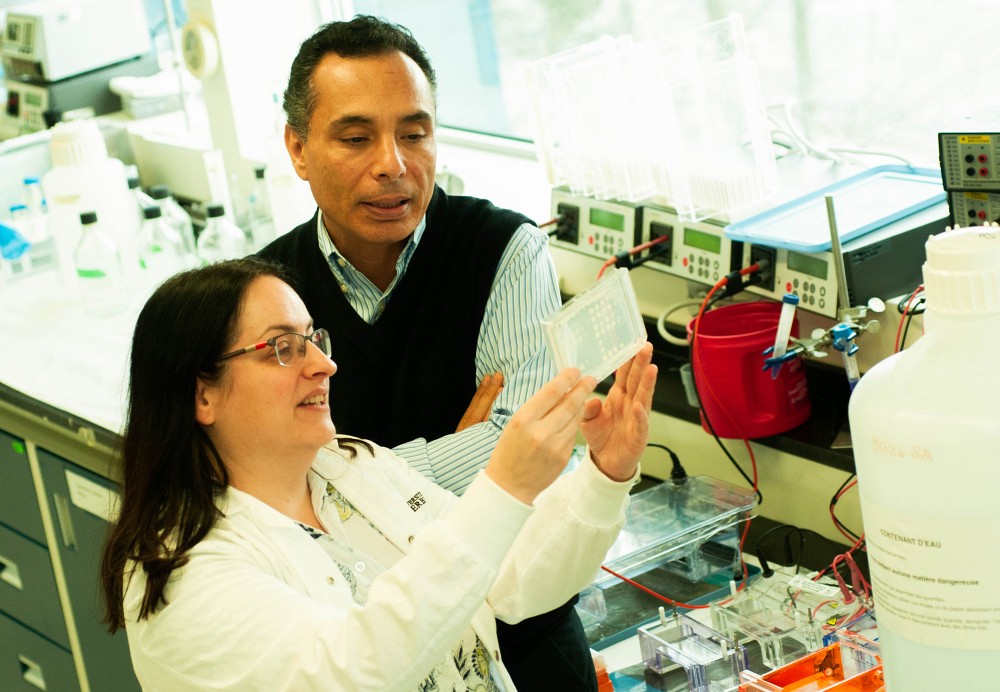 Professeur Abou Elela et sa collaboratrice, Mme Julie Parenteau