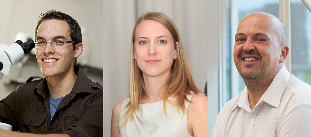 Pierre-Luc Chagnon, Christine L&eacute;vesque et&nbsp;Adolfo Agundez-Rodriguez