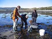 Des étudiants en écologie prennent des échantillons sur le terrain.
