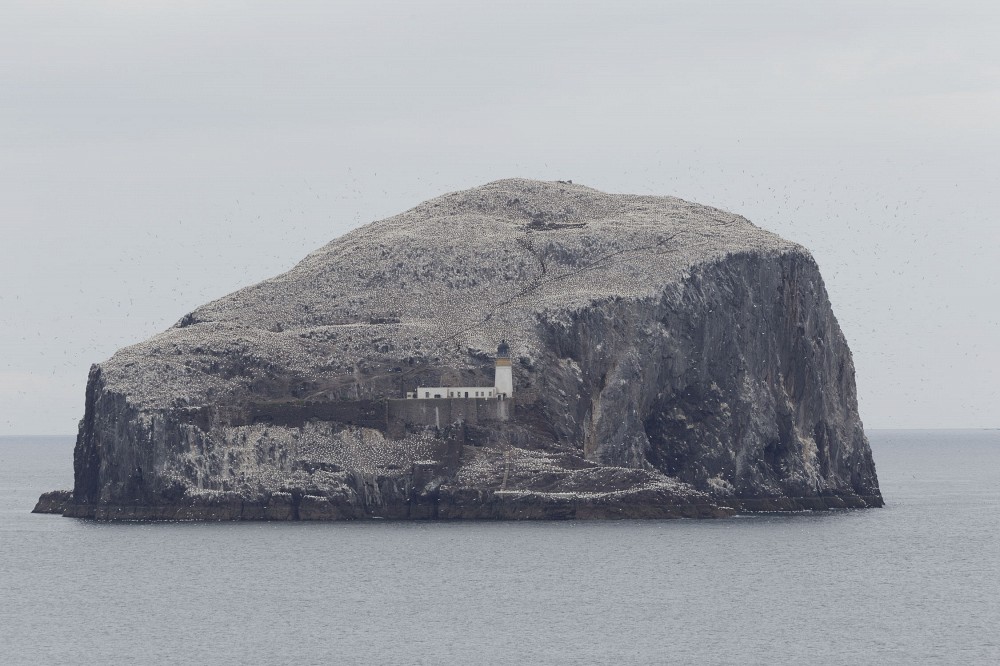 Extrait de Bord d&rsquo;attaque / Bord de fuite.