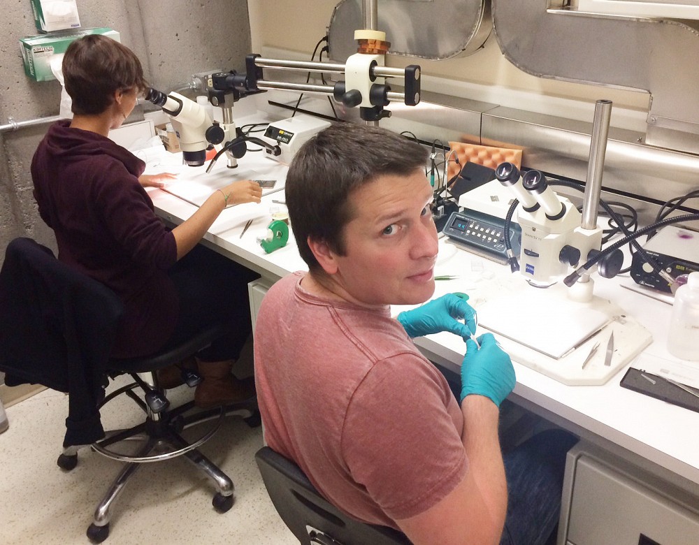 Sven Badoux et sa coll&egrave;gue Maude Lizairemanipulent de minuscules &eacute;chantillonsde cuprates.