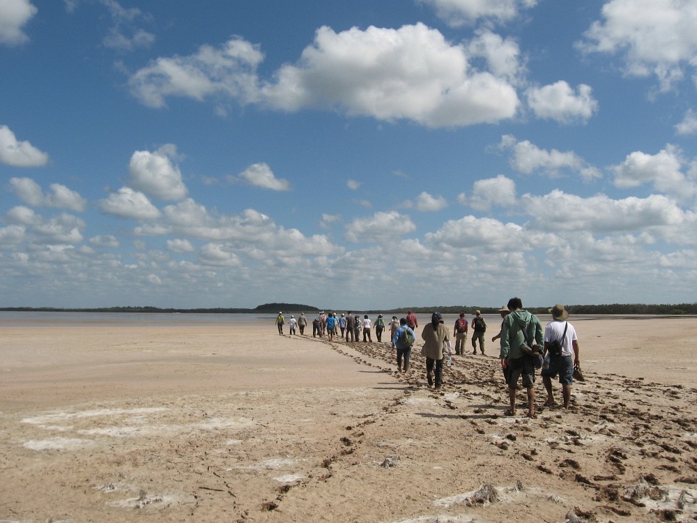 Un groupe d'&eacute;tudiantes et d'&eacute;tudiants se d&eacute;place sur le terrain&nbsp;au Mexique durant le cours Les grands &eacute;cosyst&egrave;mes du monde III.