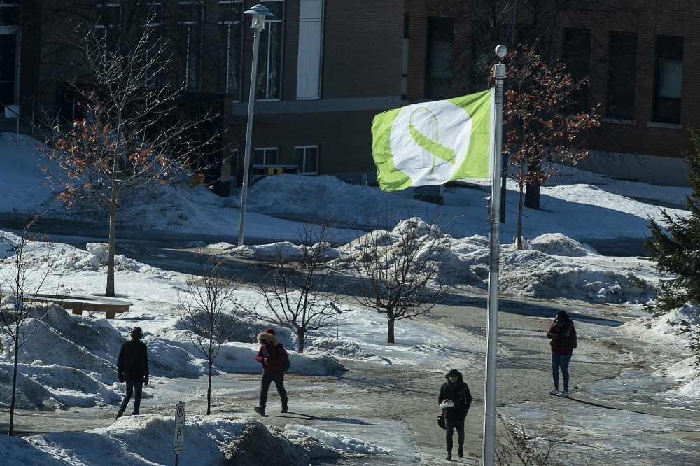 Le drapeau de la pers&eacute;v&eacute;rance flotte sur le Campus principal.