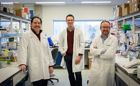 Les professeurs&nbsp;Claudio Jeldres, Martin Bisaillon et Fran&ccedil;ois-Michel Boisvert