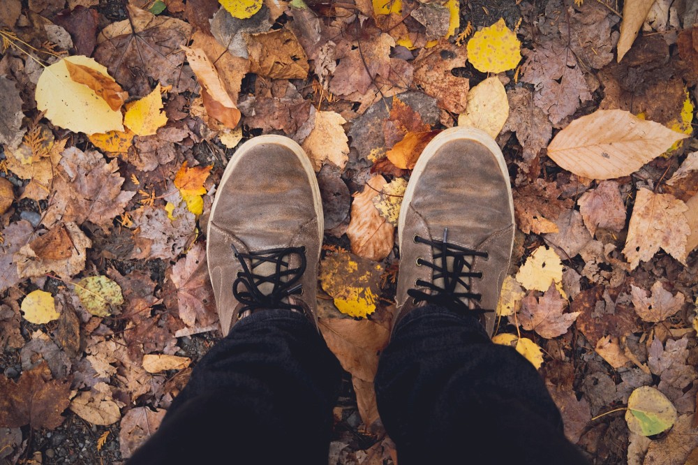 Marche, autobus, v&eacute;lo, trottinette, covoiturage, autopartage... les avenues sont plus nombreuses qu'on le croit pour &eacute;viter les d&eacute;sagr&eacute;ments li&eacute;s &agrave; l'utilisation de la voiture pour se rendre sur les campus, notamment lors de la p&eacute;riode de la rentr&eacute;e.