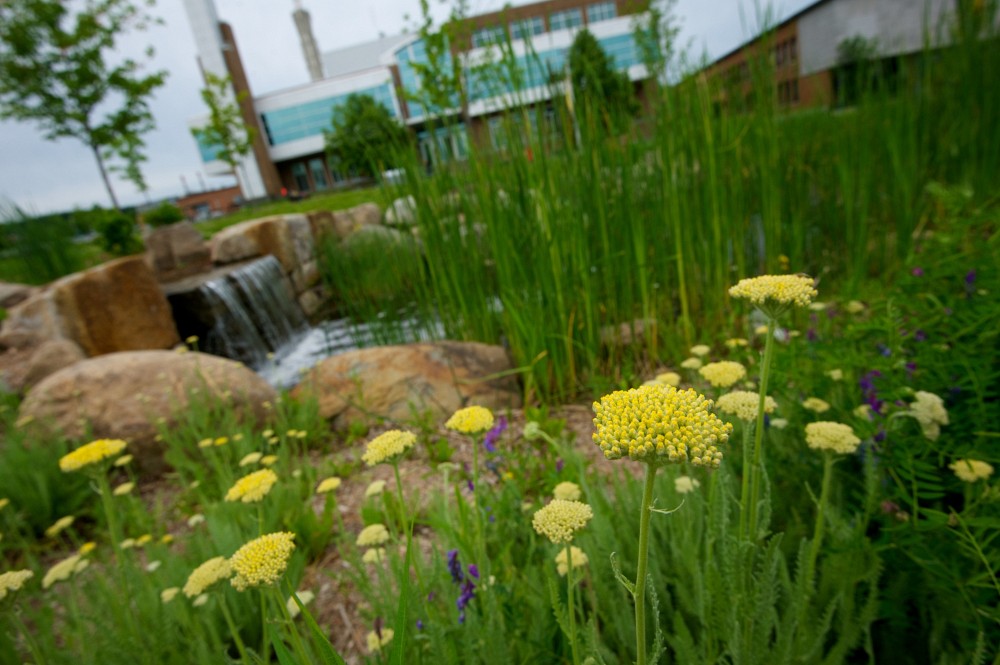 Campus principal en saison estivale