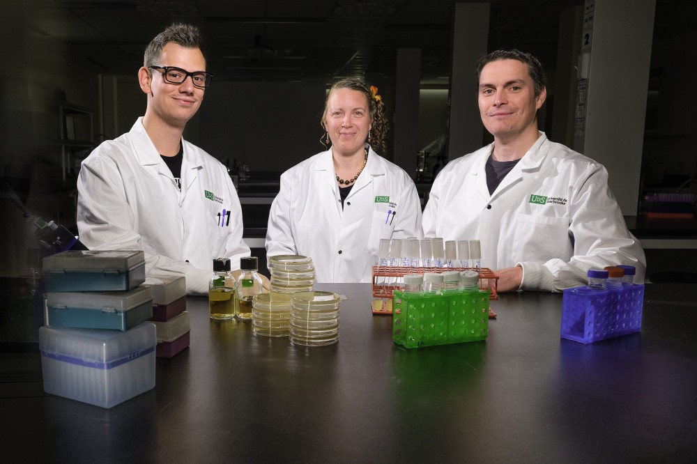 L'&eacute;quipe derri&egrave;re cette d&eacute;couverte&nbsp;: Kevin Neil, Nancy Allard et le Pr﻿&nbsp;S&eacute;bastien Rodrigue. Ont aussi particip&eacute; &agrave; l'&eacute;tude&nbsp;: Patricia Roy, Fr&eacute;d&eacute;ric Grenier, le Pr&nbsp;Alfredo Menendez et le Pr&nbsp;Vincent Burrus.