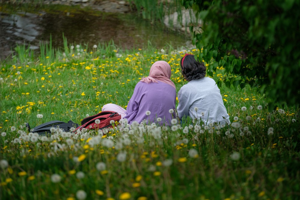 Une majorit&eacute; des projets facultaires subventionn&eacute;s par les FRQSC visent &agrave; am&eacute;liorer le vivre-ensemble.