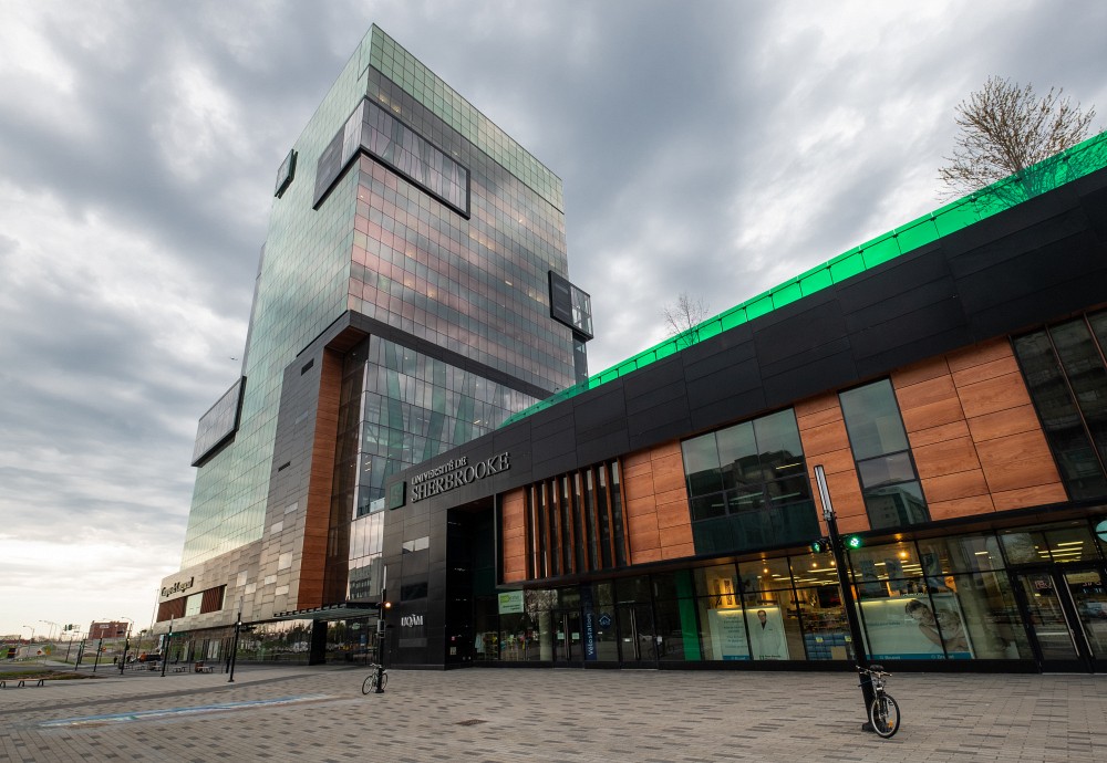 L'Universit&eacute; de Sherbrooke &agrave; Longueuil accueille la premi&egrave;re chaire au Canada sur le genre et les d&eacute;pendances.