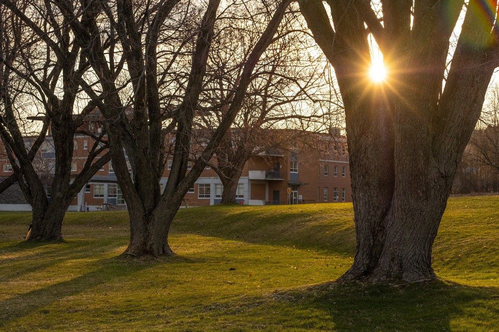Le peuple de l'aurore, ou&nbsp;W8banaki,&nbsp;sera &agrave; l'honneur &agrave; l'UdeS du 29 septembre au 3&nbsp;octobre, dans le cadre de la Semaine de la v&eacute;rit&eacute; et de la r&eacute;conciliation.