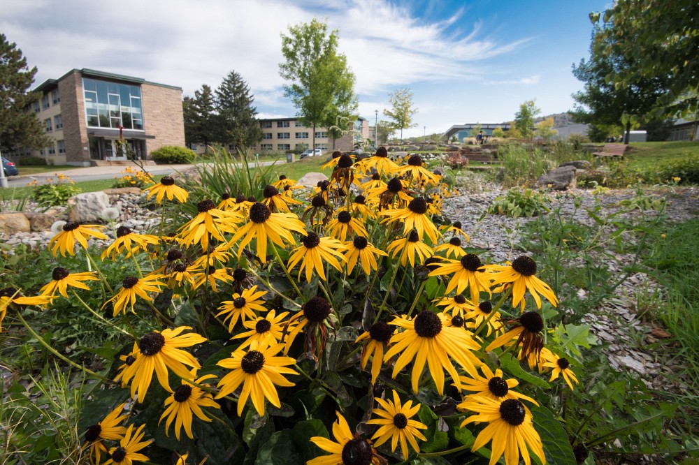 Campus principal en fleur.