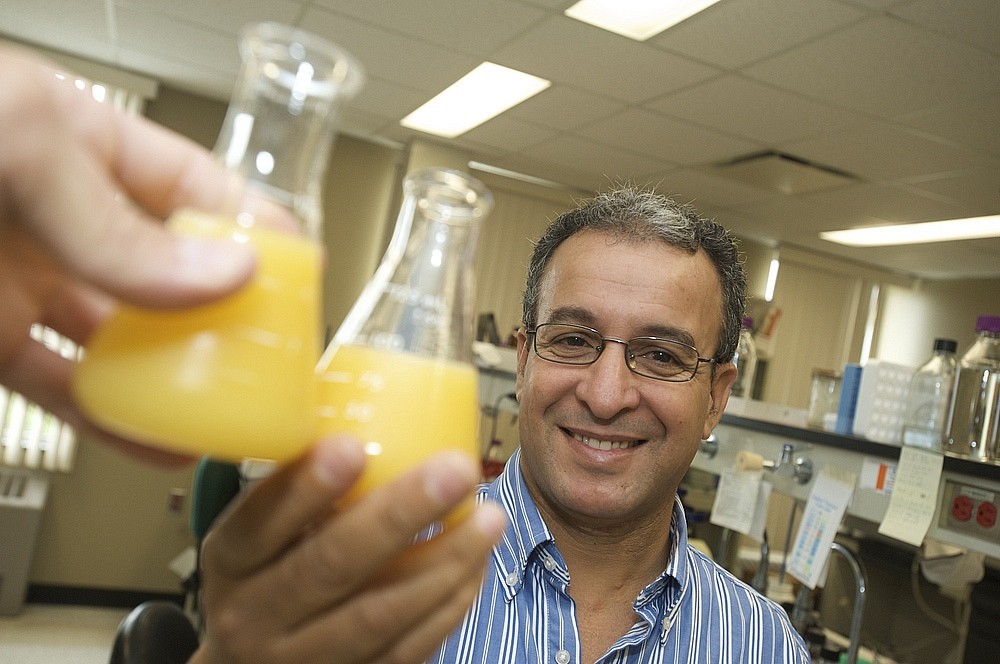 Le professeur Abdelouahed Khalil