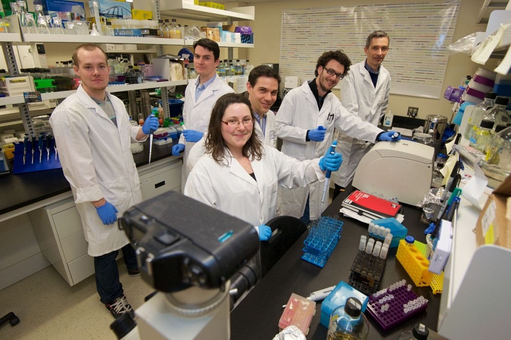 L'&eacute;quipe de recherche : Dominick Matteau, &eacute;tudiant au doctorat; S&eacute;bastien Rodrigue, professeur au D&eacute;partement de biologie; Dominic Poulin-Laprade, &eacute;tudiante au doctorat; Pierre-&Eacute;tienne Jacques, professeur au D&eacute;partement de biologie;Nicolas Carraro, stagiaire postdoctoral; Vincent Burrus, professeur au D&eacute;partement de biologie.